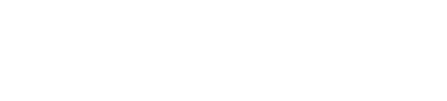 Surgical Volunteers International